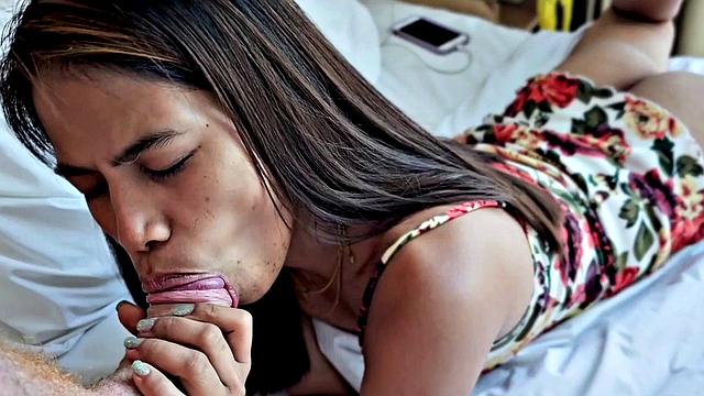 Big cock POV Blowjob