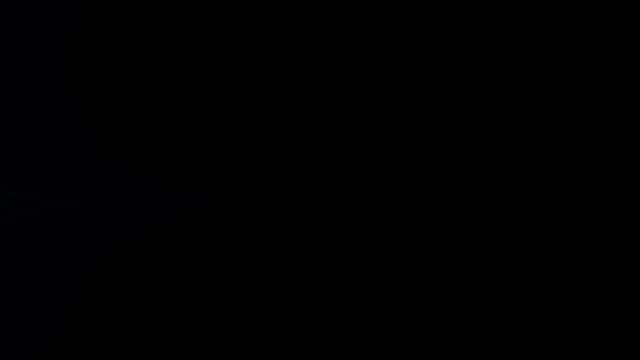 Furburger for The New Guy