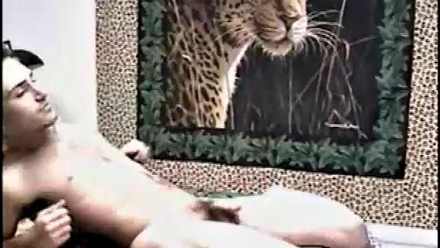 Paulie Wants To Have Fun