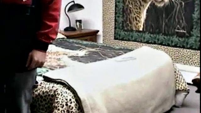 Paulie Wants To Have Fun