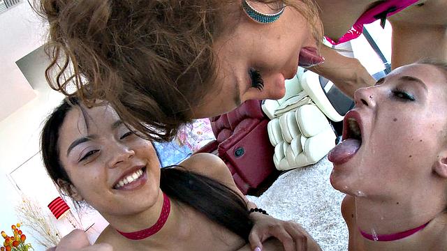 Rebel, Carolina, and Maya Test Skills