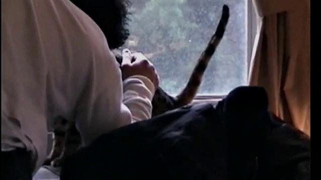 Straight Paulie Sucks Joystick