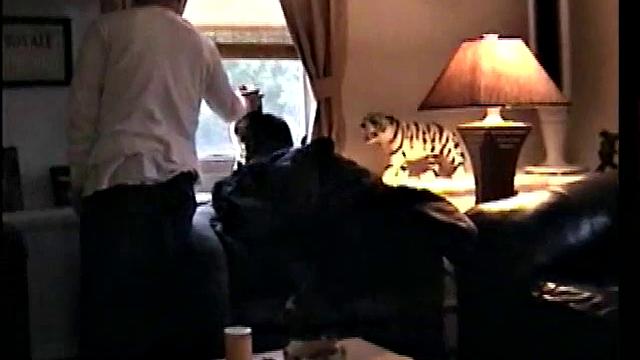 Straight Paulie Sucks Joystick