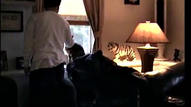 Straight Paulie Sucks Joystick