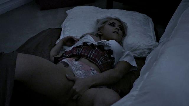 La Influencia de Zorra