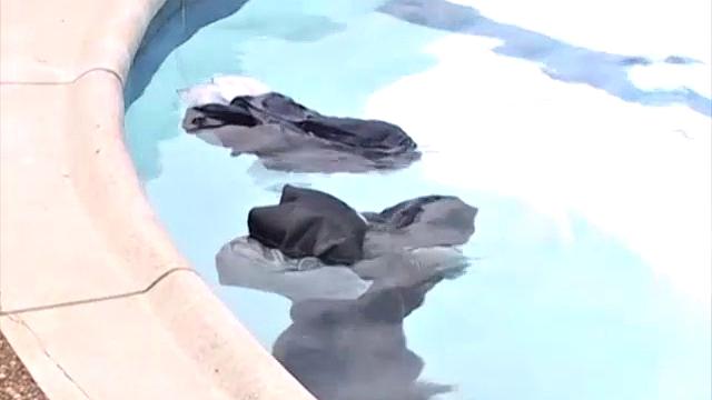 Alfonso and Ferdynan