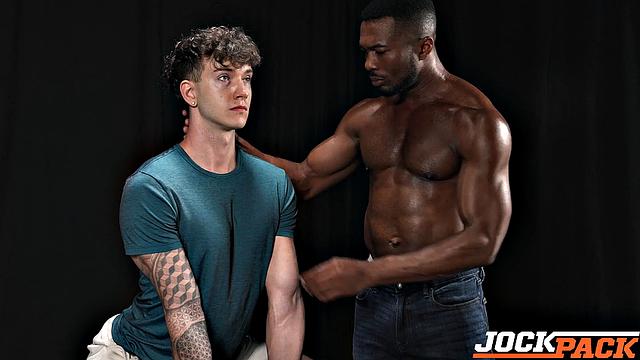Hot Stallion Fills Up Vol. 11
