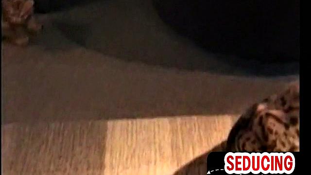 Perverted nympho loves sucking white hard dick