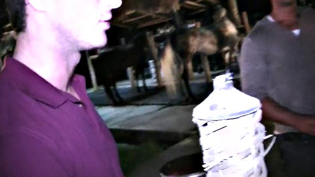 Blindfolded studs hazed in HJ 3some outdoors for frat