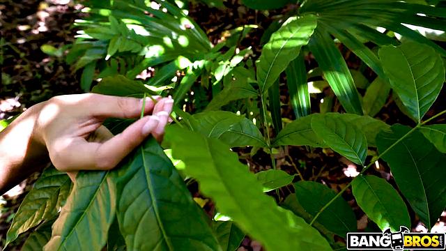 Little Sexy Thanksgiving