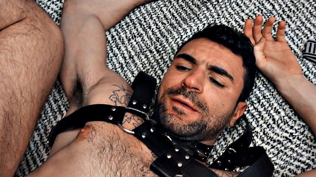 Hairy gay in leather harness barebacked in closeup video