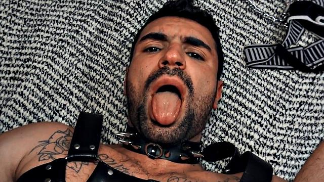 Hairy gay in leather harness barebacked in closeup video