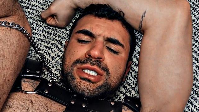 Hairy gay in leather harness barebacked in closeup video