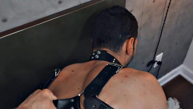 Hairy gay in leather harness barebacked in closeup video