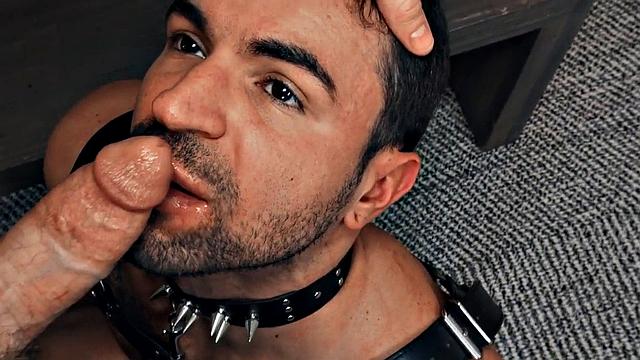 Hairy gay in leather harness barebacked in closeup video