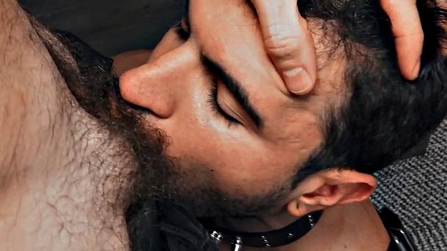 Hairy gay in leather harness barebacked in closeup video
