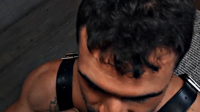 Hairy gay in leather harness barebacked in closeup video