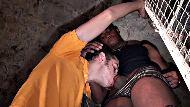 белый пассив принимает огромный черный член в жопу в догги