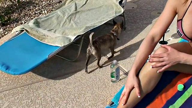 Брук Хэйвен соблазняет у бассейна: сиськи на выпуск, лысая киска в деле