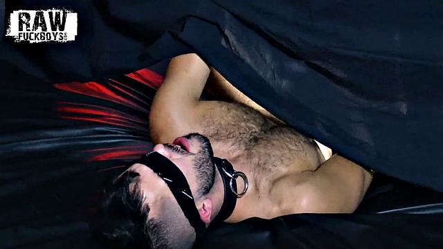 Sean and Riley Chapter 2