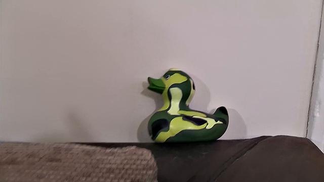 Command-Ho Training For Sophie & Lois