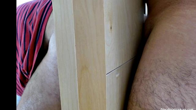 Latin Daddy Breeds Ass