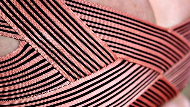 Big Assed Holly Wood