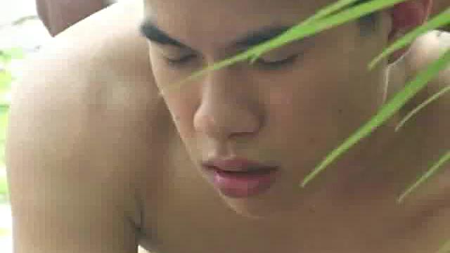 Twink Asian sucks before outdoor doggystyle