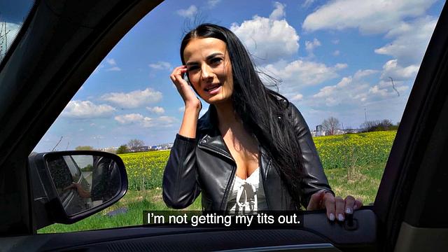 Picked up hitchhiking for free ride in POV