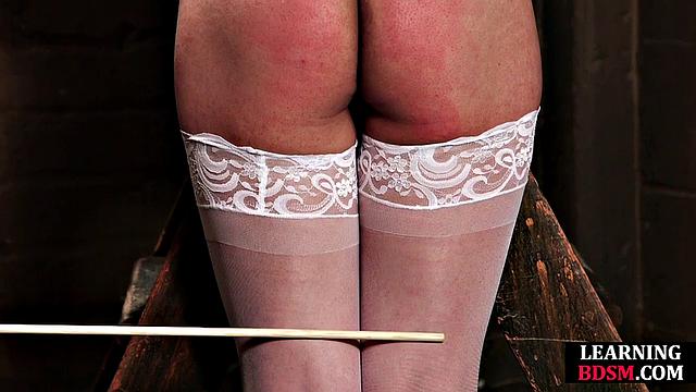 BDSM Nasty babe gets hardtied