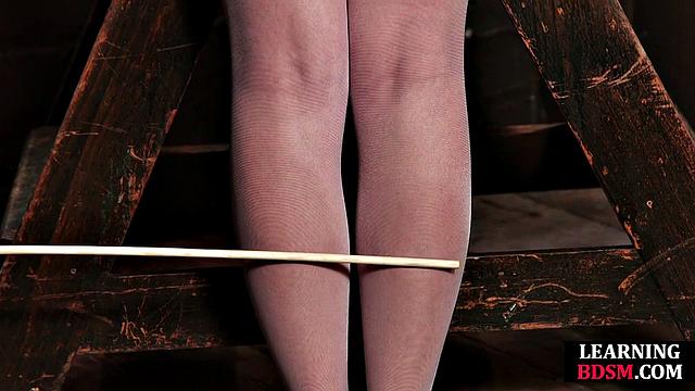 BDSM Nasty babe gets hardtied