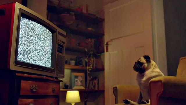 Charlie Red Vs. The Hungry Wolf