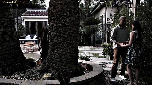 Cute hairy babe gets pussy smashed