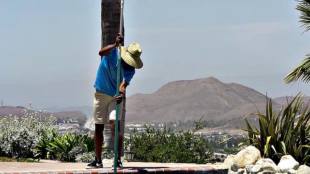 Horny Blonde Invites The Pool Man To Suck and Fuck His Big Black Cock