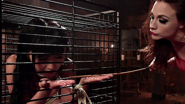 Tiny Asian lez whipped after sucking strapon of lezdom