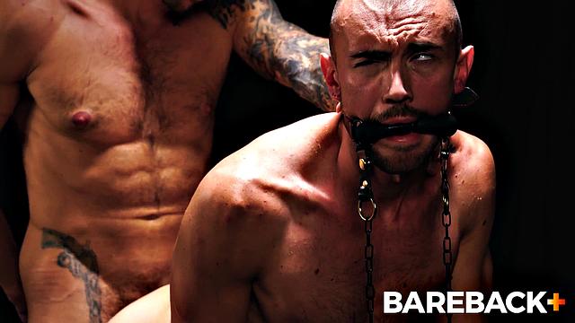 Mare Assessment LOADS Vol. 2