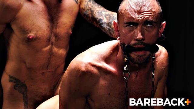 Mare Assessment LOADS Vol. 2