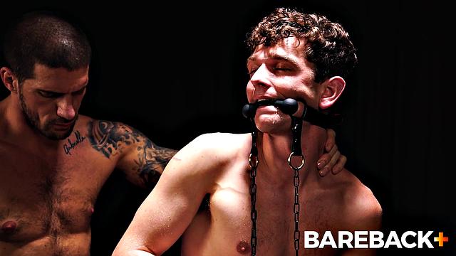 Mare Assessment LOADS Vol. 2