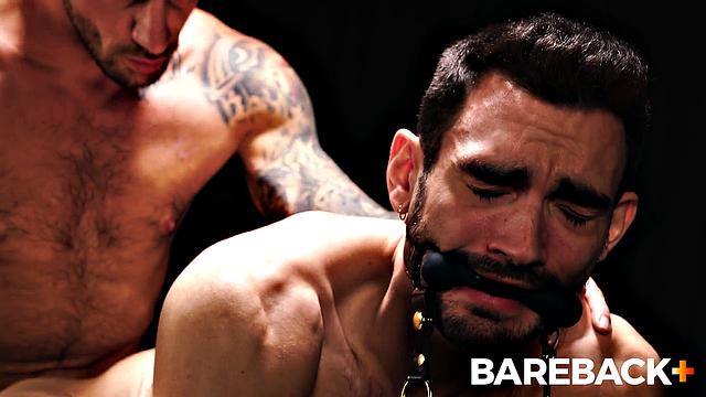 Mare Assessment LOADS Vol. 2