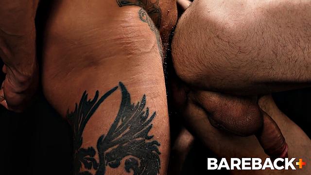 Mare Assessment LOADS Vol. 2