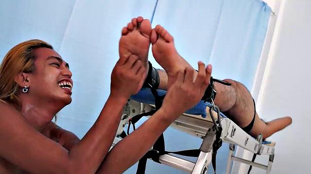 cyruz на скамье, hunter и idol доводят его щекоткой