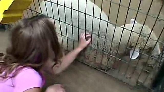 Watch Horny Teen Little April At The Farm