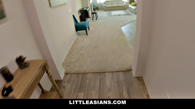 An Asian Pussy