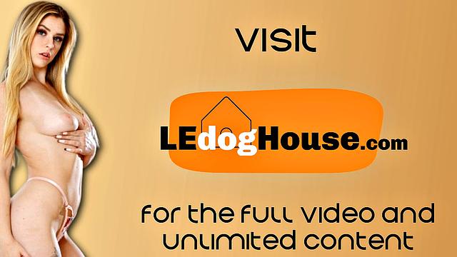 Cute college student doggystyled