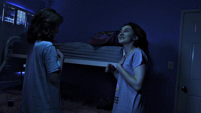 Pillow Fighters And Biters