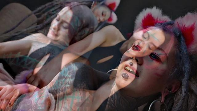 Татуированная кошка дрожит под хозяйкой-кого накажут в этот раз