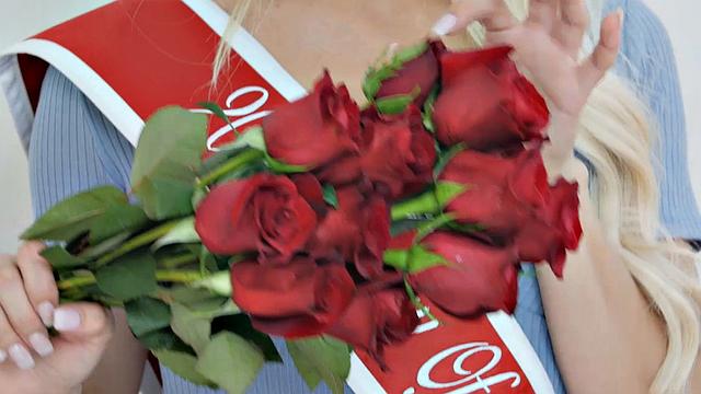 Elsa Jean Crowned Cherry of the Year