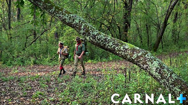 SCOUT MILO Chapter 3 - Hike