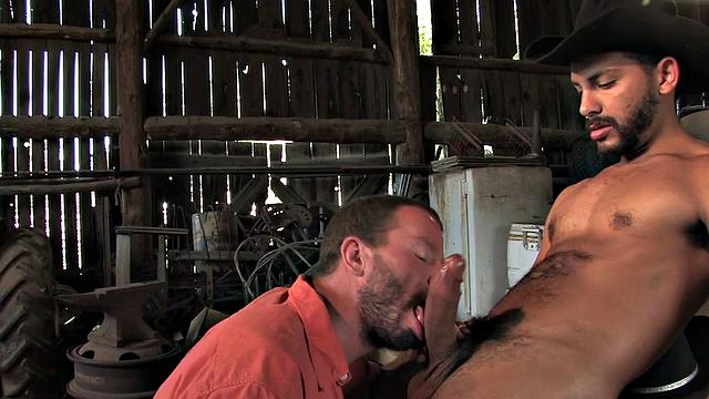 Sturdy top sucked off before farmers asshole