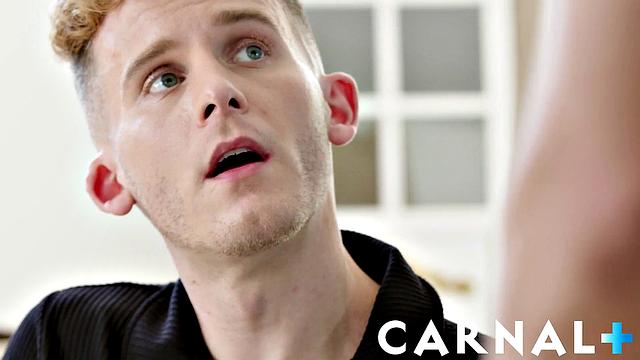 THE AMERICANS Vol. 1 - The Client